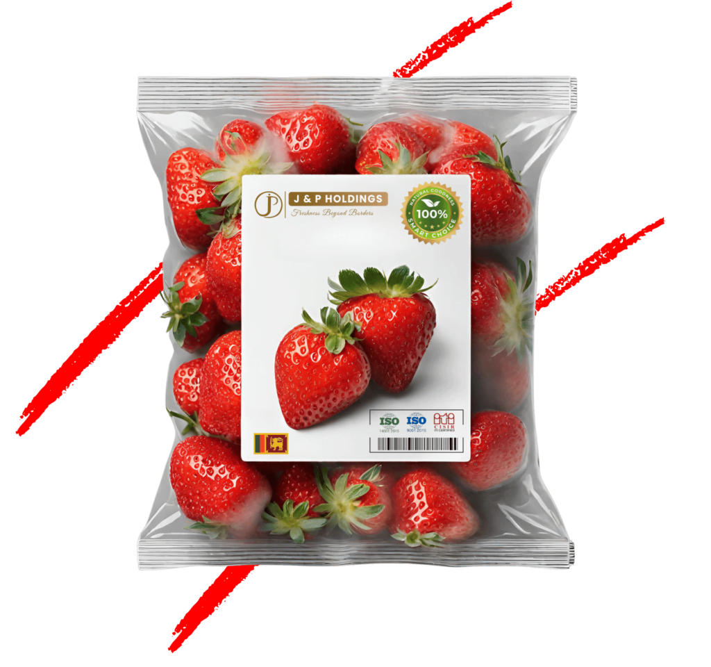 J & P Holdings PVT LTD