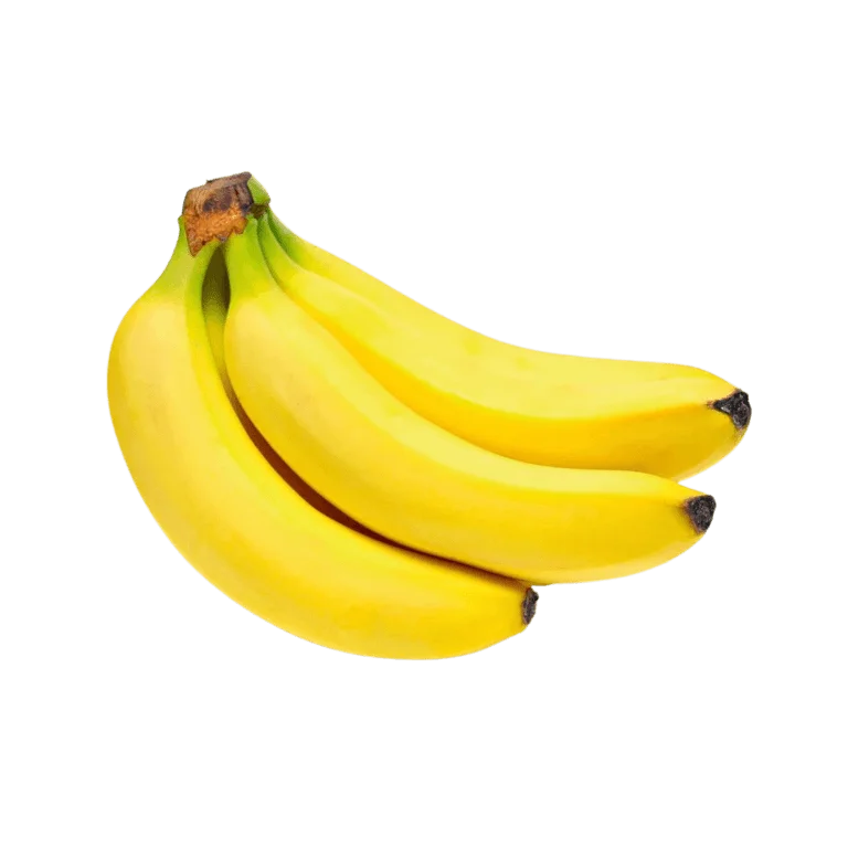 J & P Holdings PVT LTD