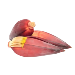 J & P Holdings PVT LTD