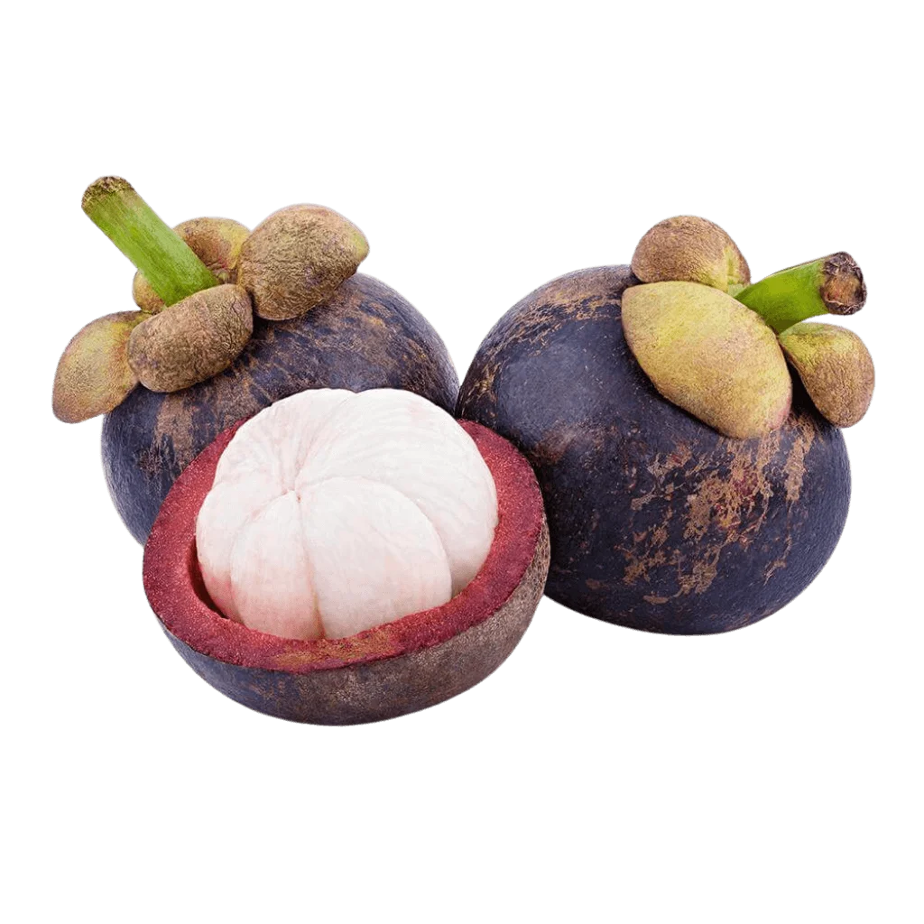 J & P Holdings PVT LTD