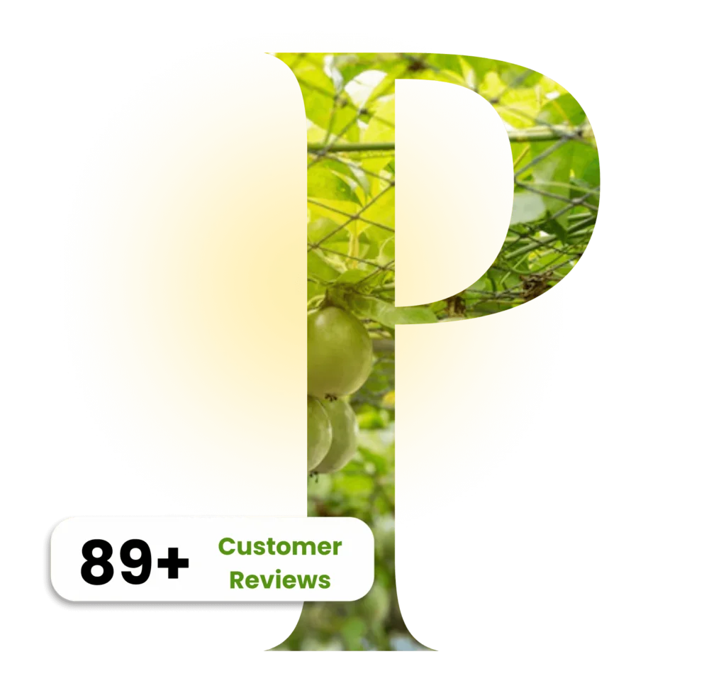 J & P Holdings Global