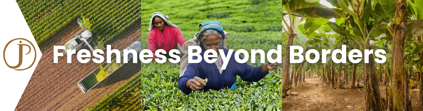 J & P Holdings PVT LTD