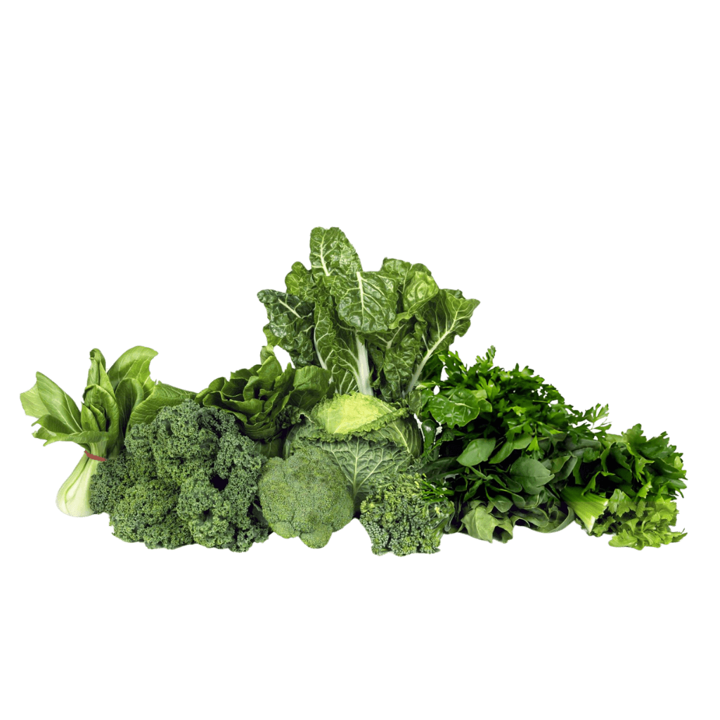 J & P Holdings PVT LTD