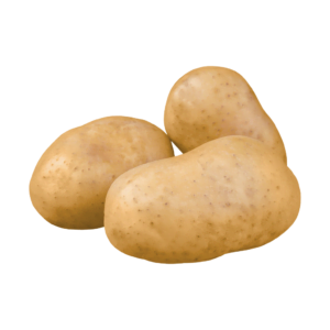 J & P Holdings PVT LTD