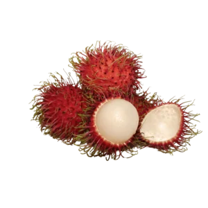 J & P Holdings PVT LTD