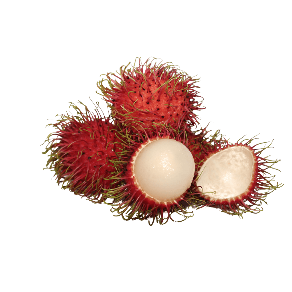 J & P Holdings PVT LTD