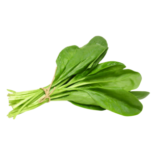 J & P Holdings PVT LTD