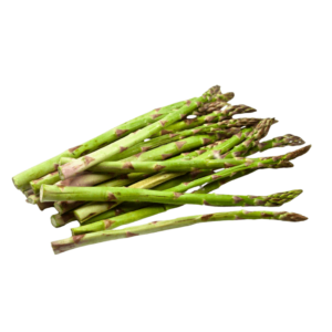 J & P Holdings PVT LTD