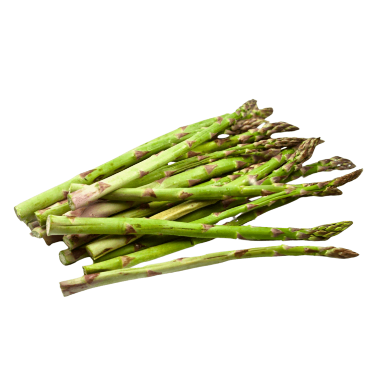 J & P Holdings PVT LTD