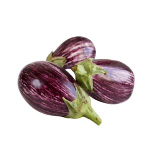 J & P Holdings PVT LTD