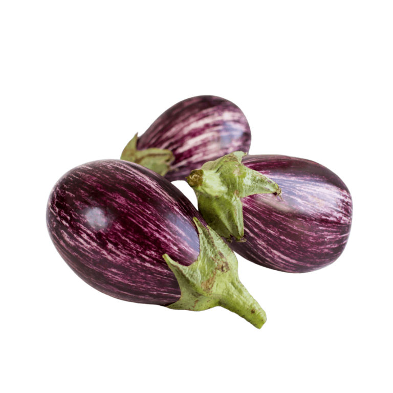 J & P Holdings PVT LTD