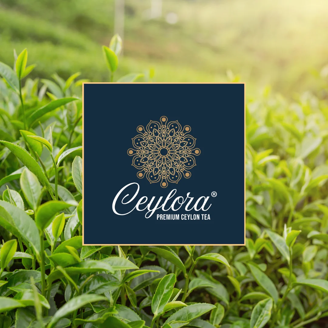 Ceylora Tea